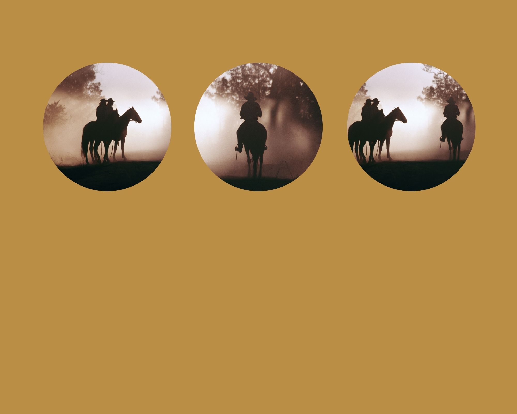 Ranch Lifestyle Saddles